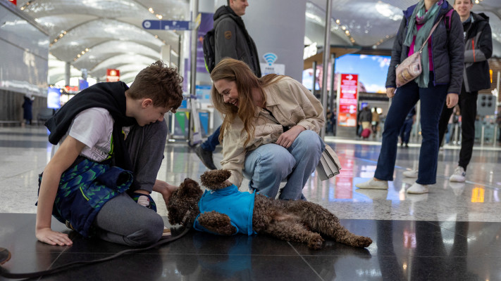 הכלבים מטיילים באולמות נמל התעופה ומאפשרים לנוסעים ללטף אותם ולהירגע (צילום: רויטרס)