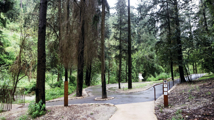 האתר אחרי השיקום