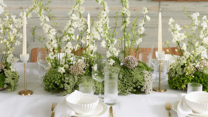 קולקציית אביב של CASTRO HOME 