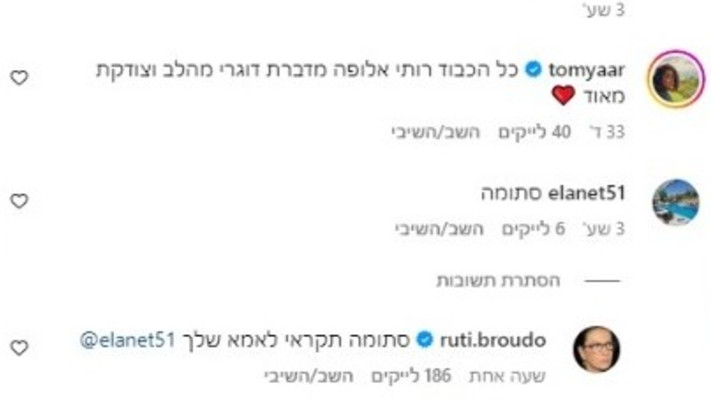 רותי ברודו נגד מגיב באינסטגרם (צילום: צילום מסך מתוך האינסטגרם)