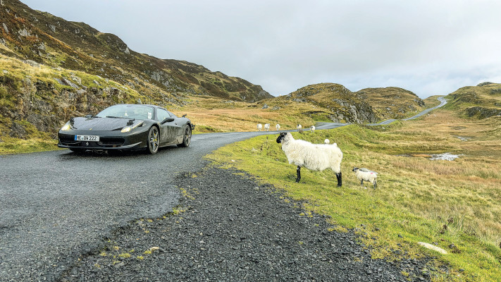 Ireland (Photo: Shahaf Galil)