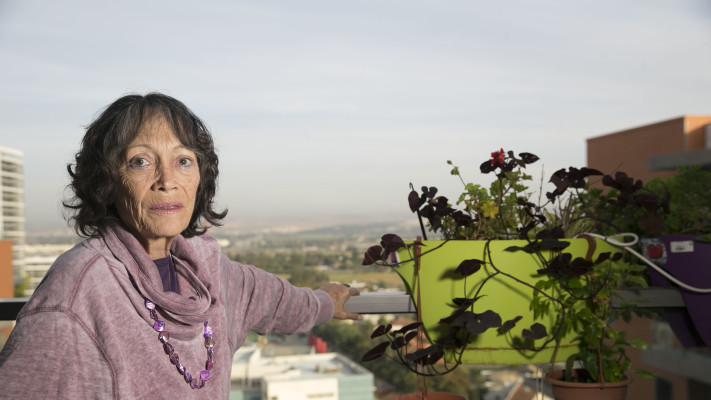 שמירה אימבר