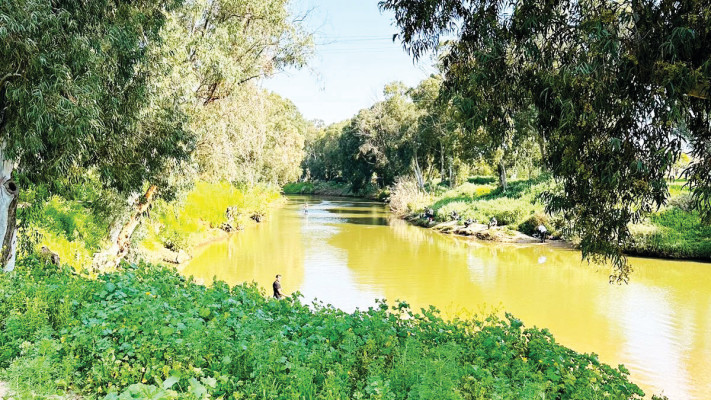 פארק הירקון (צילום: מאיה בואנוס)