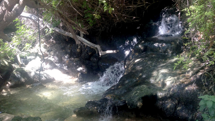 המפלים הלבנים