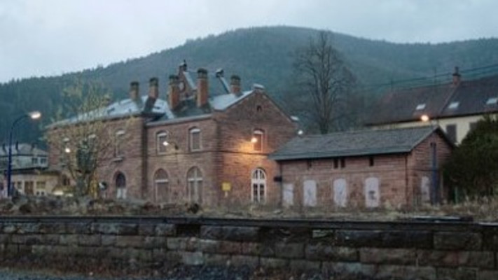 עדויות מהשואה