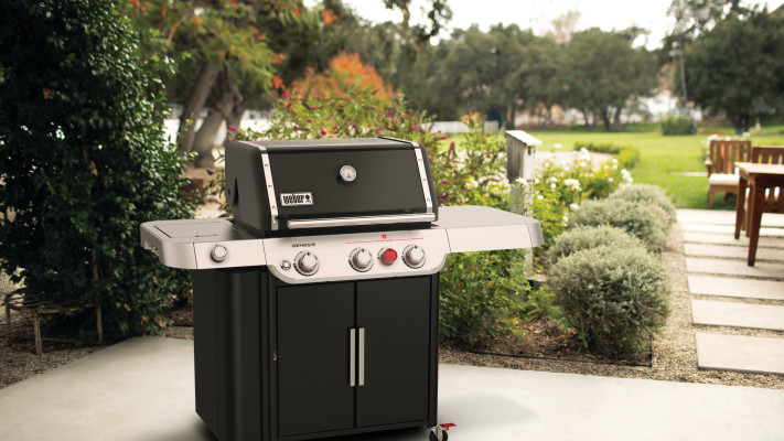 GENESIS® E-335 גריל