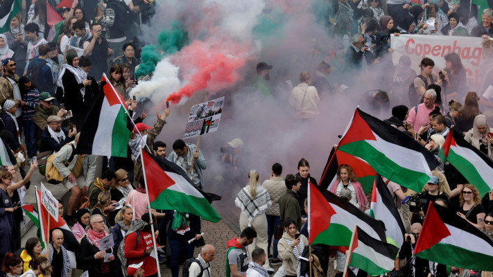 הפגנות פרו פלסטיניות במאלמו (צילום: News Agency/Johan Nilsson via REUTERS)