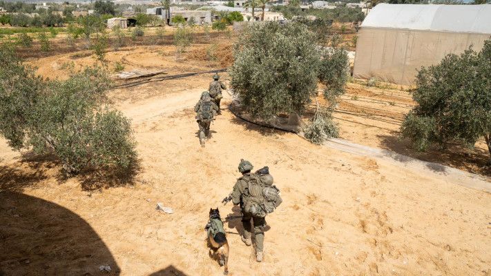 כוחות צה''ל ברצועת עזה - מלחמת חרבות ברזל