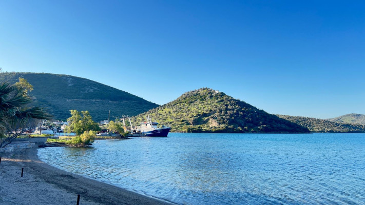 לסבוס. מפרצונים וחופים בתוליים