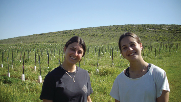 זיו נויגבורן וטל לוי