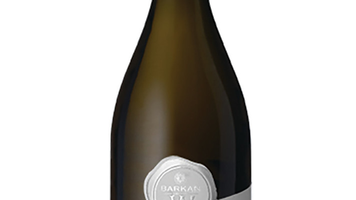 ברקן W שרדונה בציר 22