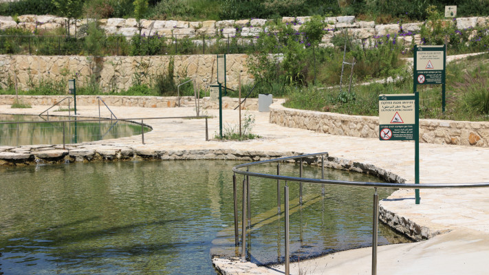 הגן הלאומי עין יהודה