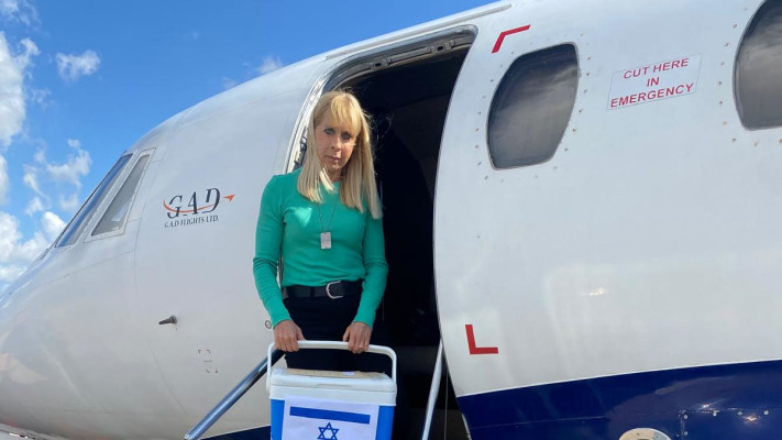 הכליות שהגיעו להשתלה בישראל