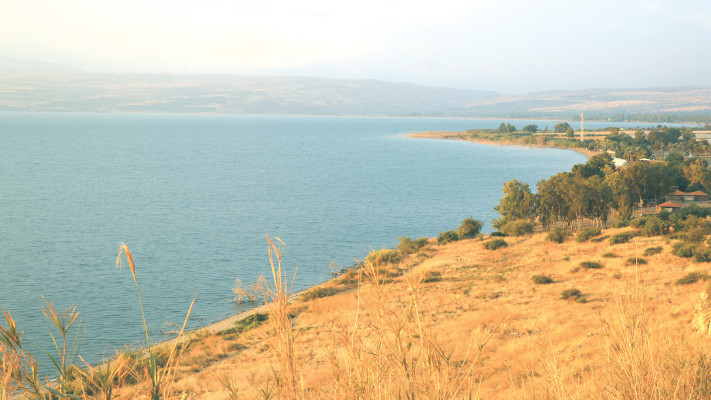 מצפה נוקייב רמת הגולן
