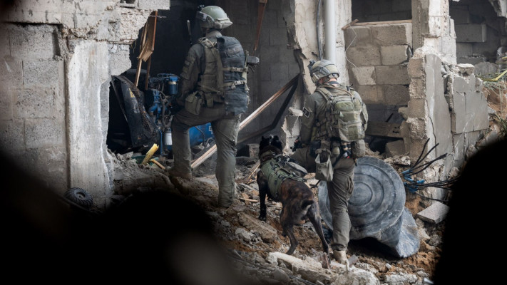 הלחימה בג'באליה