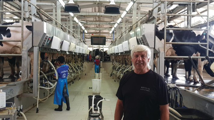 דני וייס, רפת עין השלושה 