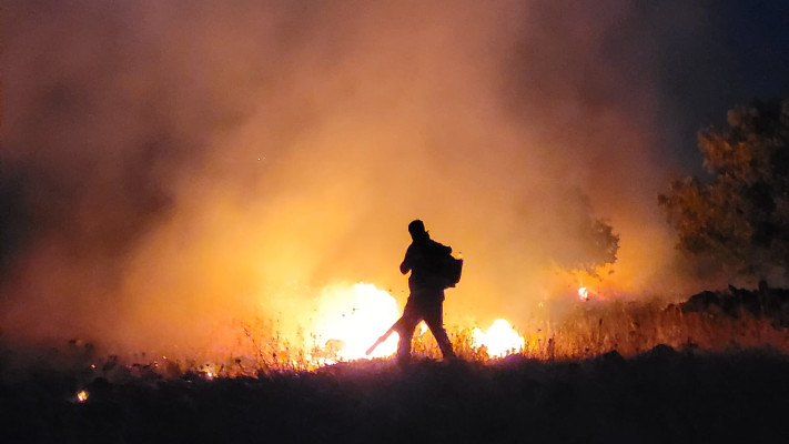 שריפה בצפון (צילום: רשות הטבע והגנים)