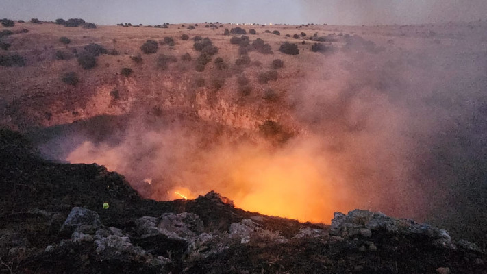שריפה בצפון