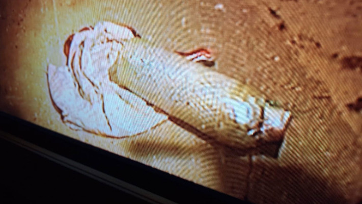 שב''כ סיכל פיגוע תופת בישראל 