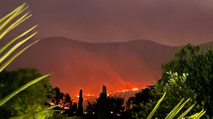 שריפות בגליל העליון (צילום: דניאל בן גל)