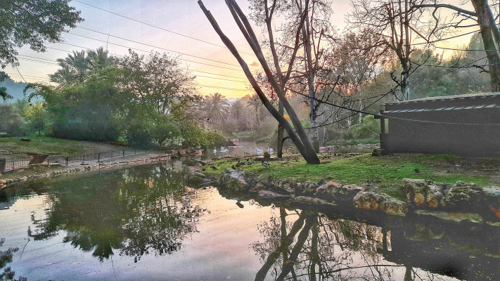 Le Zoo Biblique au coucher du soleil (Photo : Uriel Nouri)