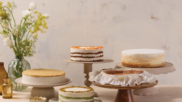 בוטיק סנטרל שבועות 2024