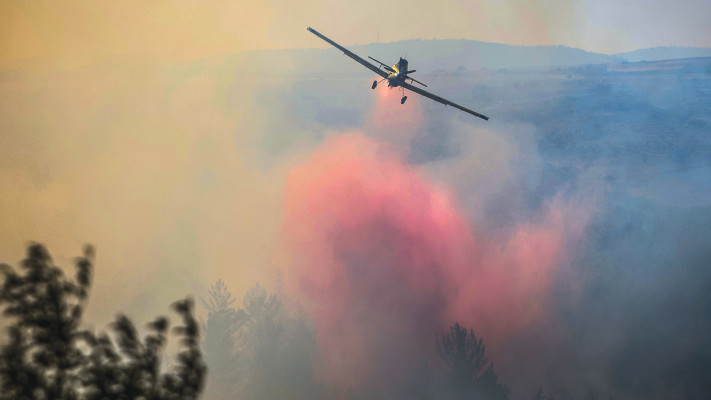 שריפה ביער ביריה (צילום: דוד כהן, פלאש 90)