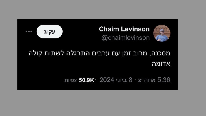 חיים לוינסון בציוץ על נועה ארגמני (צילום: צילום מסך מתוך טוויטר)