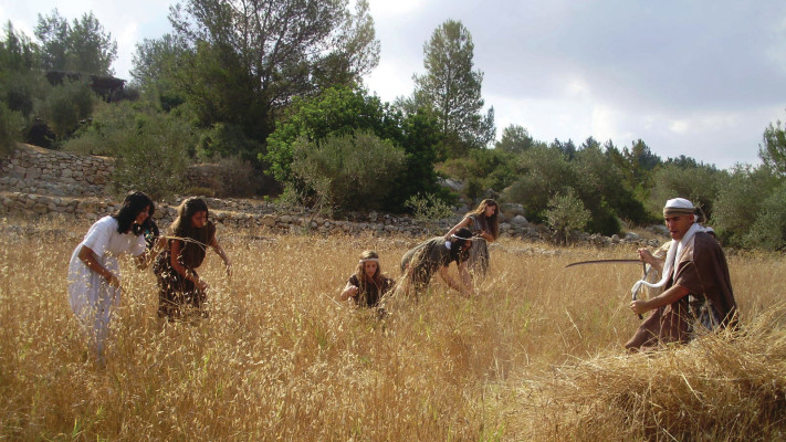 פסטיבל חגיגה בלבן צילום  (צילום: פארק נאות קדומים)