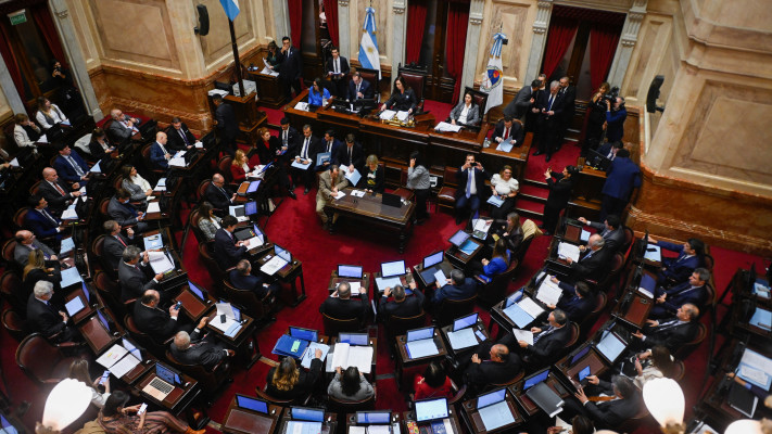 הסנאט בארגנטינה דן בחוק של חאבייר מיילי