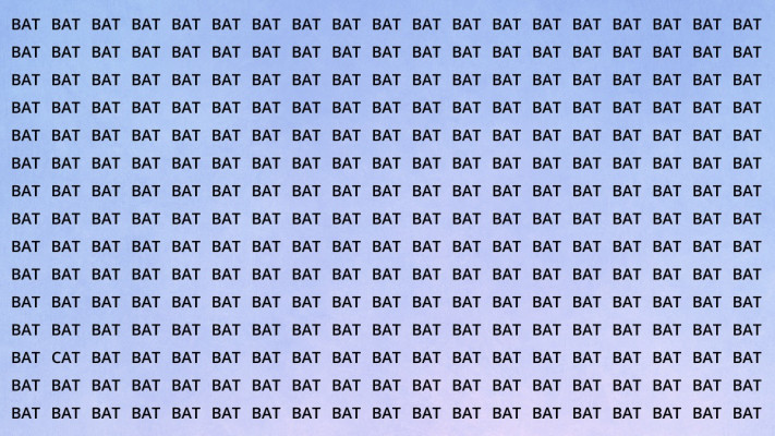 היכן מסתתרת המילה ''CAT''?