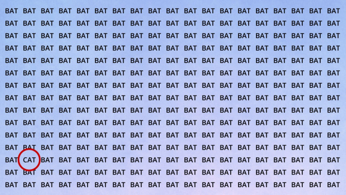 התשובה לפניכם