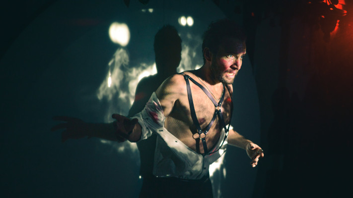 המופע ''צללים'' 