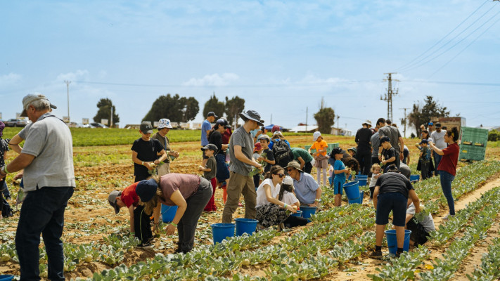 חקלאים בישראל
