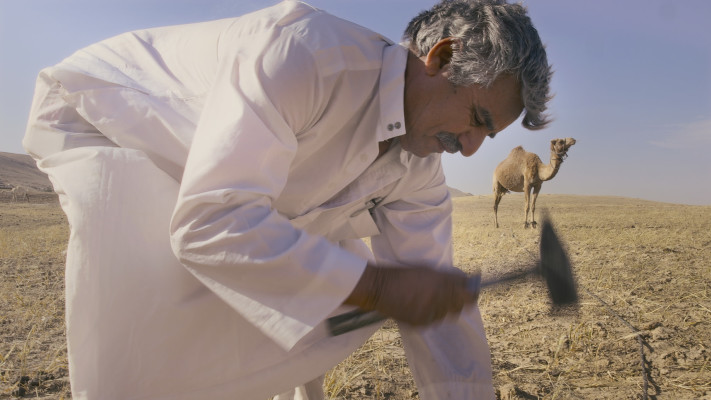 חוקי מדבר | قوانین الصحراء
