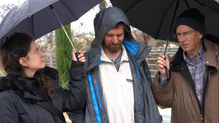 ציפורים משונות