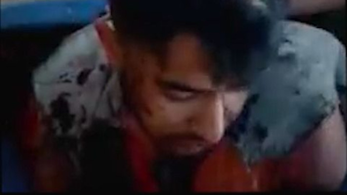 הרש גולדברג-פולין