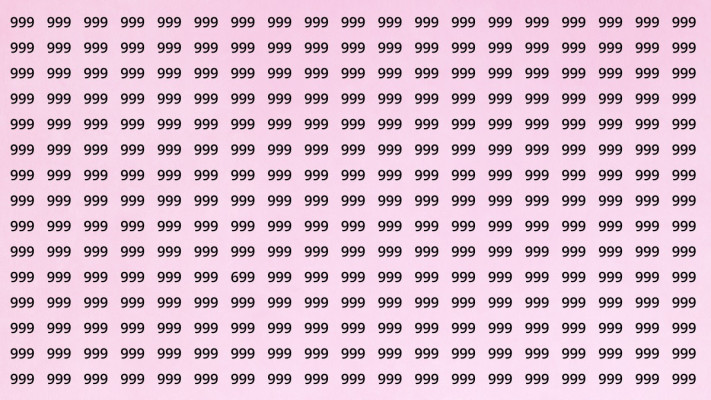 מצאו את המספר 699