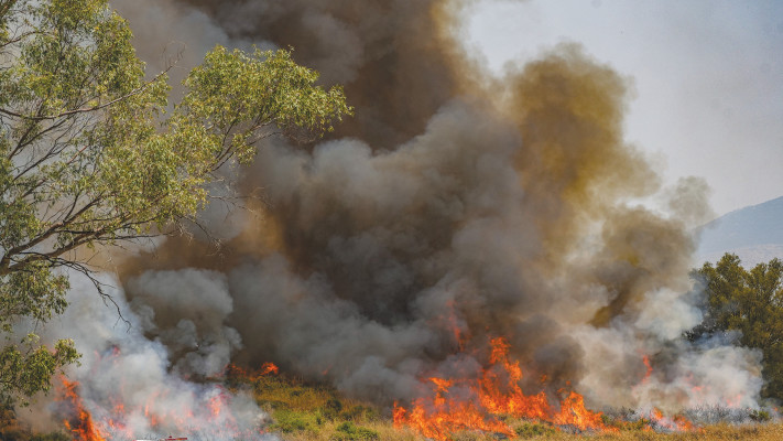 שריפות בצפון (צילום: אייל מרגולין, פלאש 90)