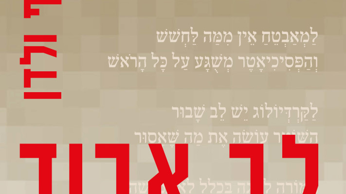 לב אבוד בין מילים