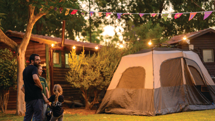 גן גורו בלילות