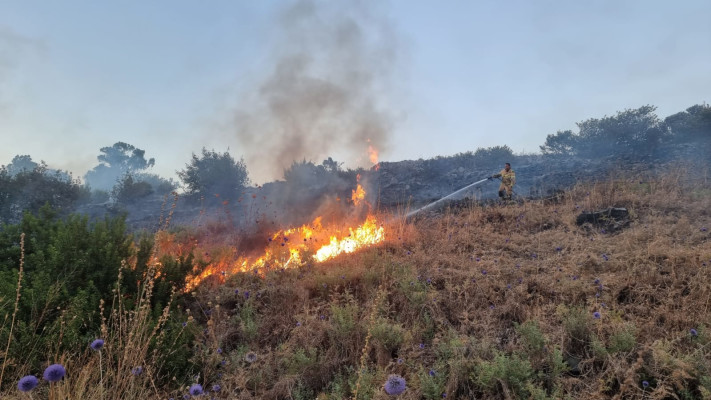 שריפה בצפון באזור קריית שמונה (צילום: כבאות והצלה מחוז צפון)