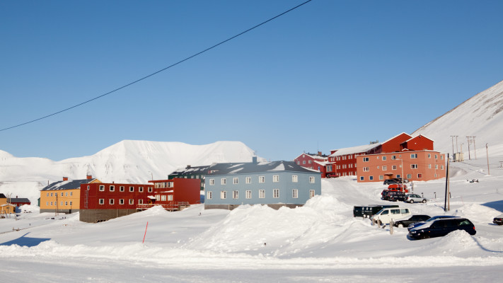 בעיירה זו ישנם עוד כמה חוקים מוזרים, לונגיירבין