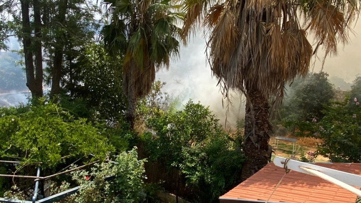 שריפה (צילום: פרטי)
