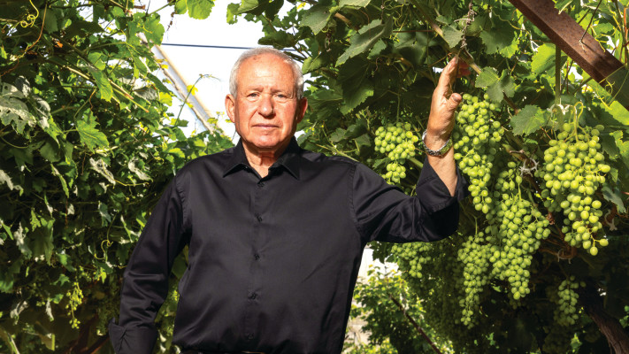 אבי דיכטר (צילום: יוסי אלוני, פלאש 90)