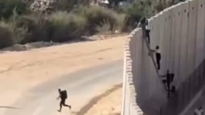 שב''חים על סולם