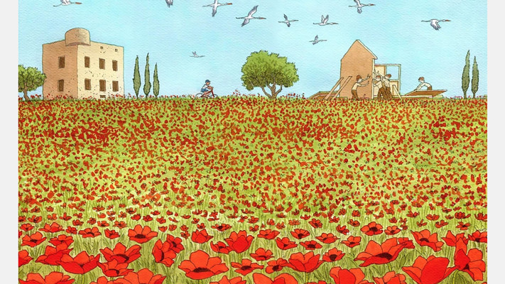 דרום אדום - מתוך פרויקט עפרונות ברזל