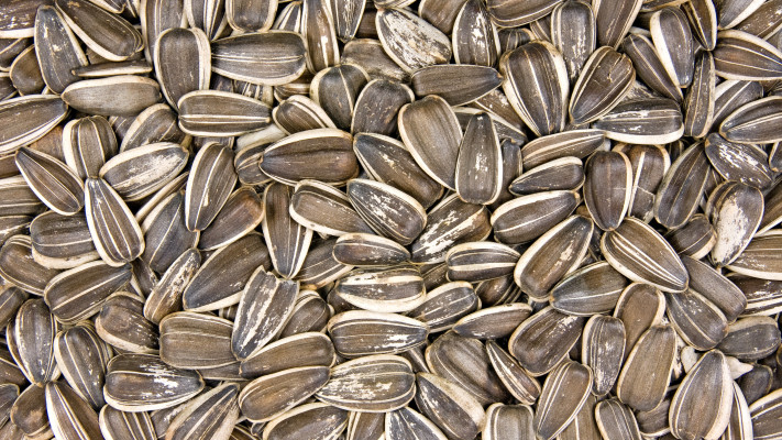 ברור שגרעינים שחורים. מה חשבתם?