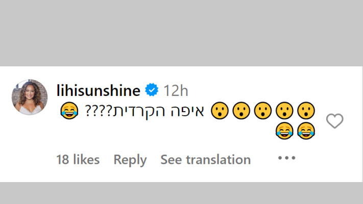 ליהיא גרינר על הסרטון של אייל שני (צילום: צילום מסך מתוך האינסטגרם)