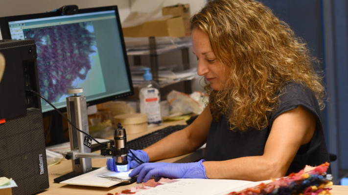 דר' נעמה סוקניק בוחנת את האריג תחת מיקרוסקופ